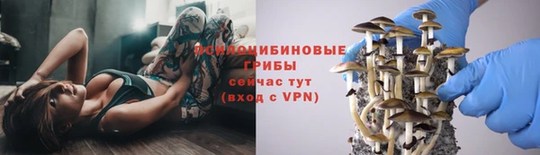 а пвп мука Алзамай