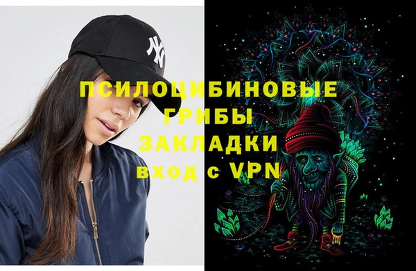 гашик Аркадак