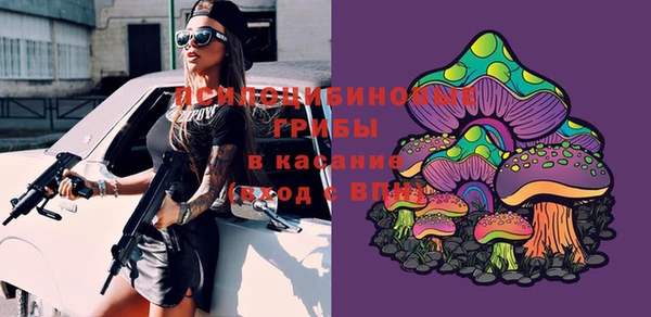 гашик Аркадак