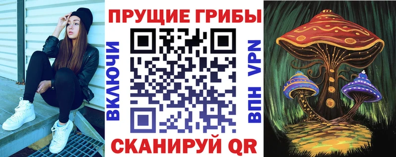 как найти наркотики  Нижняя Салда  Псилоцибиновые грибы GOLDEN TEACHER 